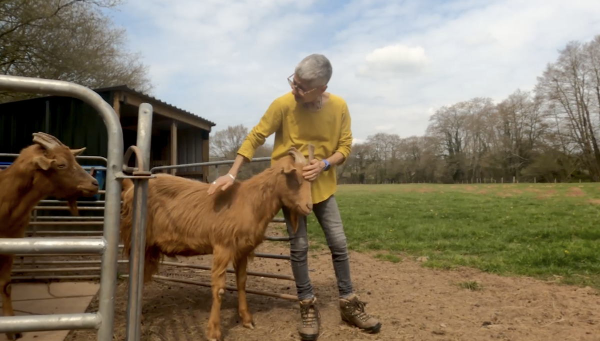 Debbie Cohen in a yellow top and jeans petting one of the goats she keeps on her farm
