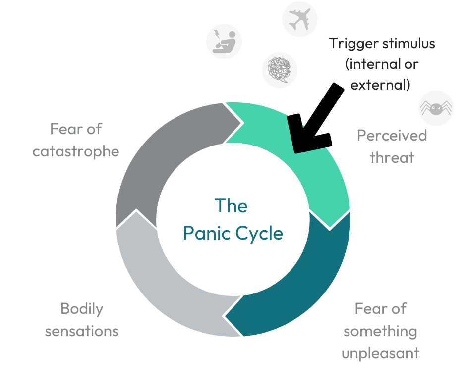Panic Disorder Break The Cycle Canopi