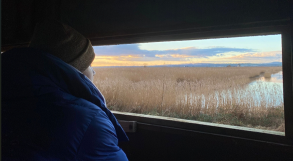 A person in a blue coat and hat sits in a bird hide looking out over reedbeds.